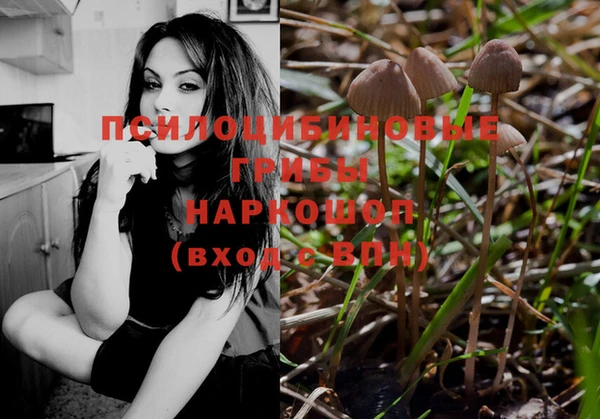 прущий лед Алексеевка
