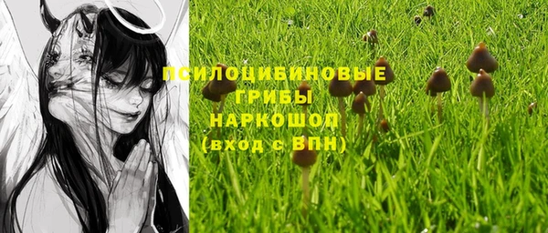 прущая мука Алзамай