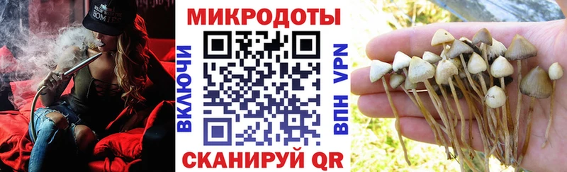 darknet какой сайт  Дмитров  Псилоцибиновые грибы мицелий  закладка 